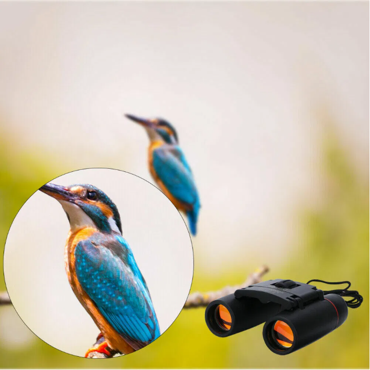 TrailGlass 30x60 binoculars beside a sharp view of a kingfisher on a branch